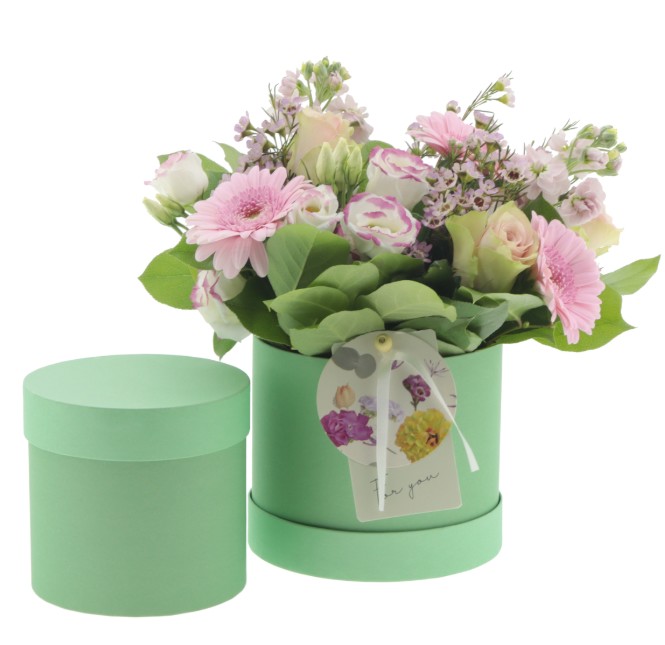 Sombrerera Basicall Verde 12.5x12Hcm