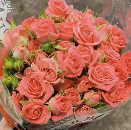 Ramificada Overig Rosa 60cm