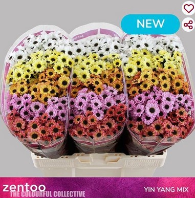 Santini Mixta Yin yang 1000gr "T25"