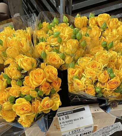 Ramificada Overig Amarillo 60cm