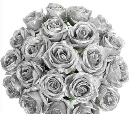 Rosa Col.  Tintada Plata  50cm