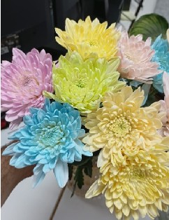 Uniflor Col. Cremon Tindada Pastel
