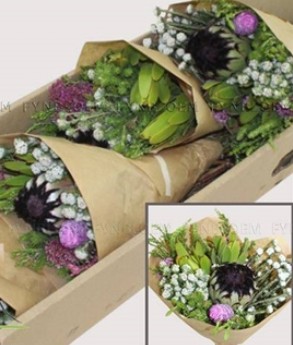 Safari Buquet Niobe Mixto 40cm