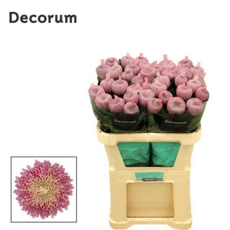 Uniflor Hol. Couture 110gr Rosa