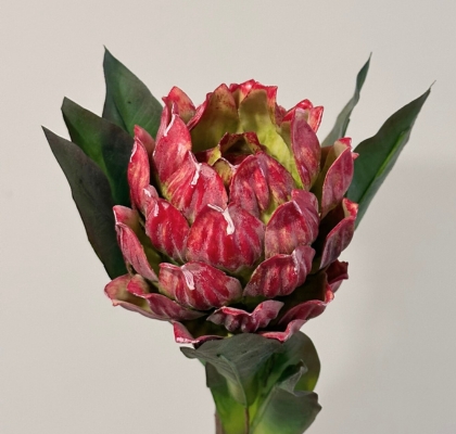 Protea Effusa Artificial Roja 61.5cm