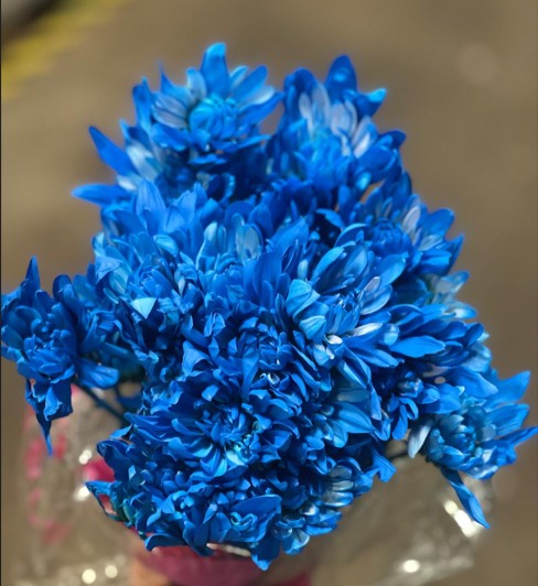 Margarita Col. Sky Blue