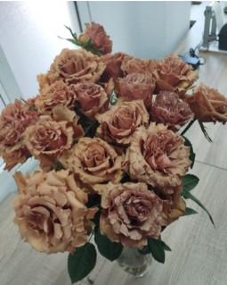 Rosa Ecu. Caramel 40cm