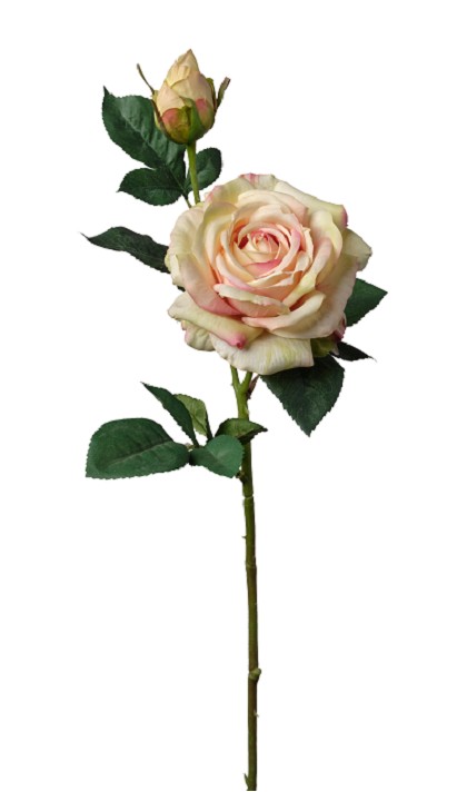 Rosa Cherry Brandy Artificial Champan 63cm