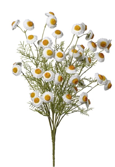 Tanacetum Manzanilla Artificial 50cm