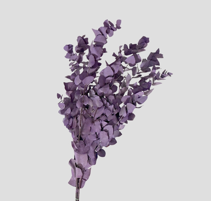 Eucalipto Estabilizado Milka 70cm 140g
