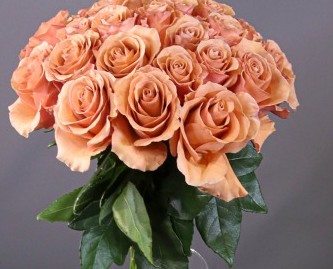 Rosa Ecu. Moab 70cm Ocre (7 Dias - 2�)