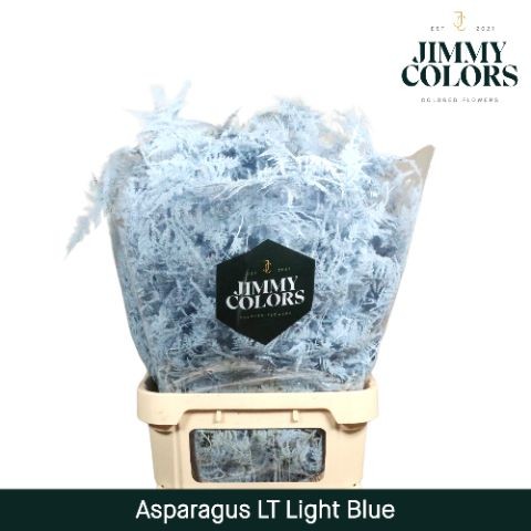 Esparraguera Pintada Light Blue 80cm "T50"