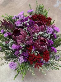 Safari Buquet Carousel 3 Proteas Tint. 40cm
