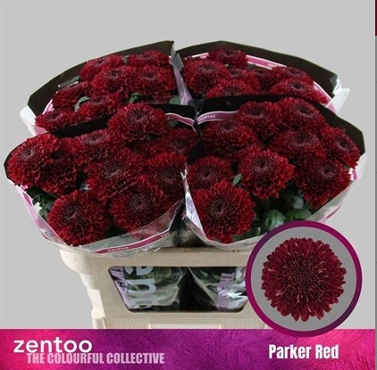 Uniflor Hol. Parker Red 80gr Rj.