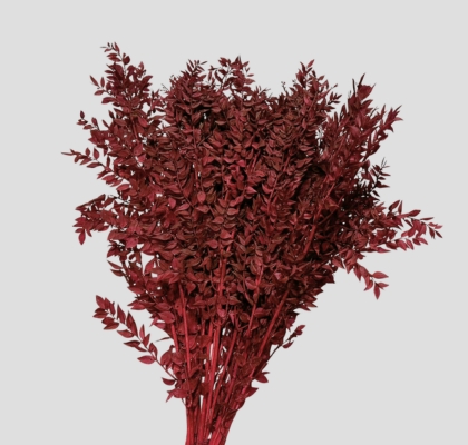 Wild Ruscus Estabilizado Bordeaux 80cm