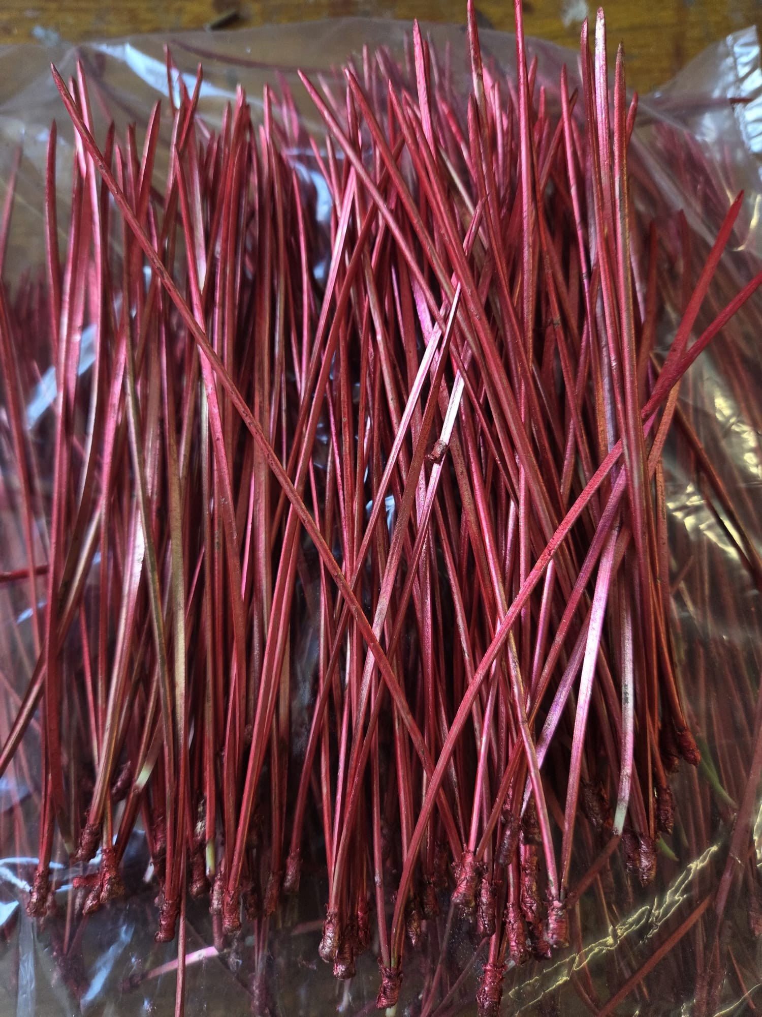 Pino Aguja Bolsa 250gr Pintado Rojo