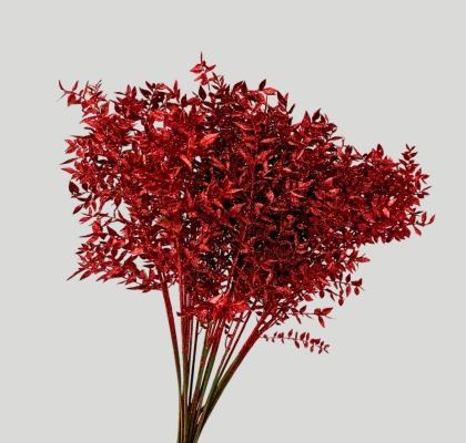 Ruscus Wild Brillantina Rojo 70cm "T25"