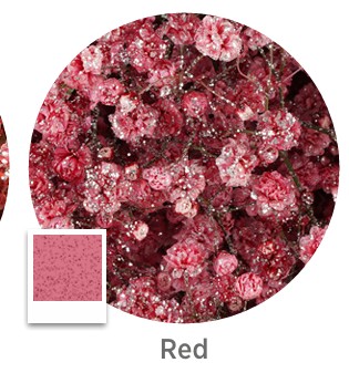 Paniculata Ecu. Purpurina Roja 750gr "T25"