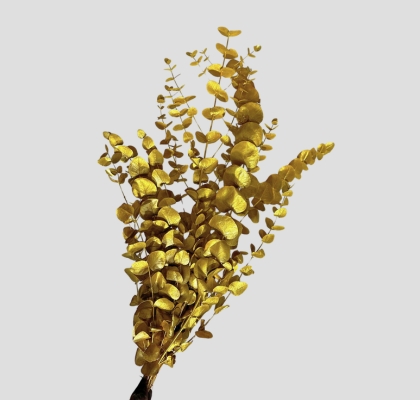 Eucalipto Cinerea Pintado "200gr" Yellow Metal (7 Dias - 2)