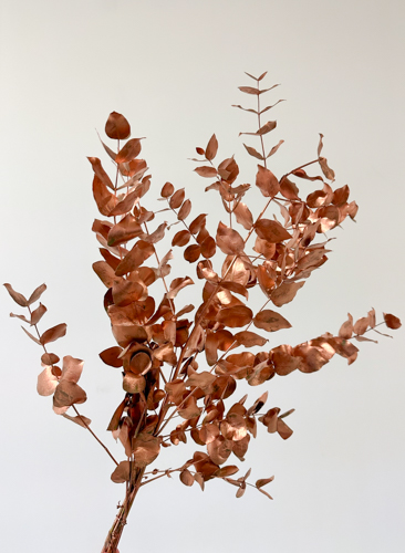 Eucalipto Cinerea Pintado "200gr" Cobre Metal (7 Dias - 2)