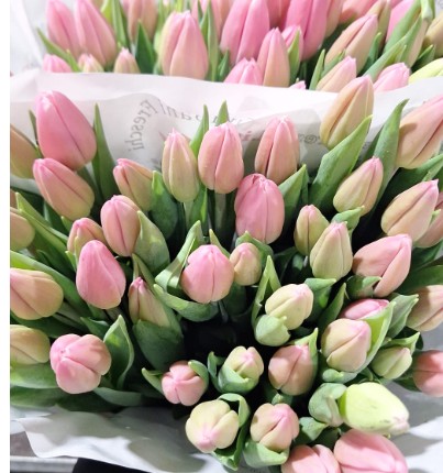 Tulipan Italia Milkshake Rs.