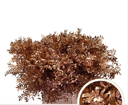 Mata Lentisco Pint. Cobre 50cm "T50"