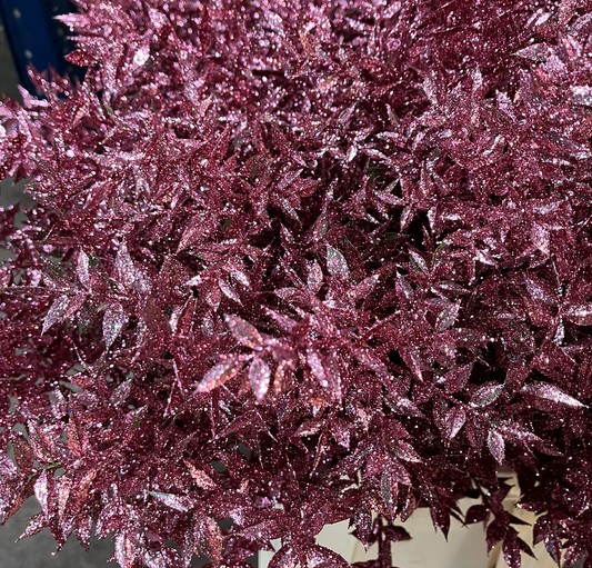 Ruscus Wild Brillantina Pink 70cm "T25"