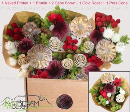 Safari Buquet 50cm 450gr