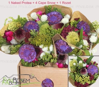 Safari Buquet 40cm 400gr Protea