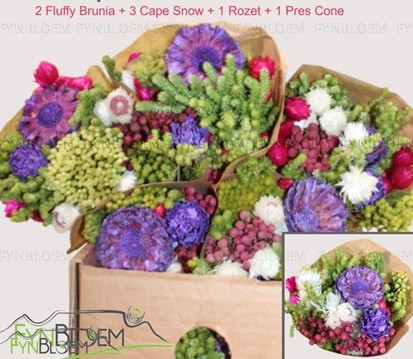 Safari Buquet 50cm 360gr