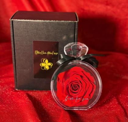 Perfume Amor Eterno 14.5Hcm