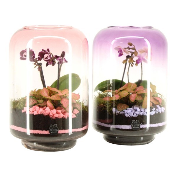 P. Composici�n Lovess 22017  17/25cm  "CC3"