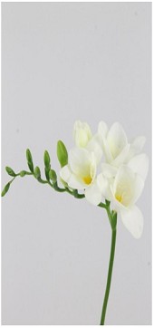 Fresia Hol. Diamond River 50cm 25gr "T50"