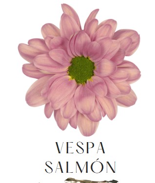 Margarita Nac. Vespa Salmon 75gr (7 Dias - 2�)