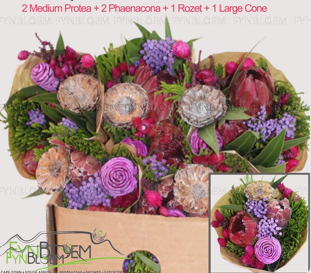Safari Buquet 40cm 450gr Protea