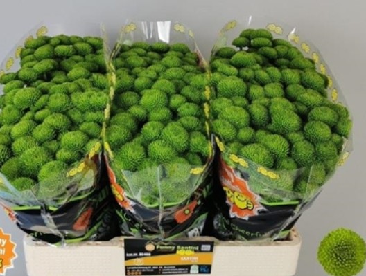 Santini Peptalk 900gr "T25" Vd. (7 Dias - 2�)