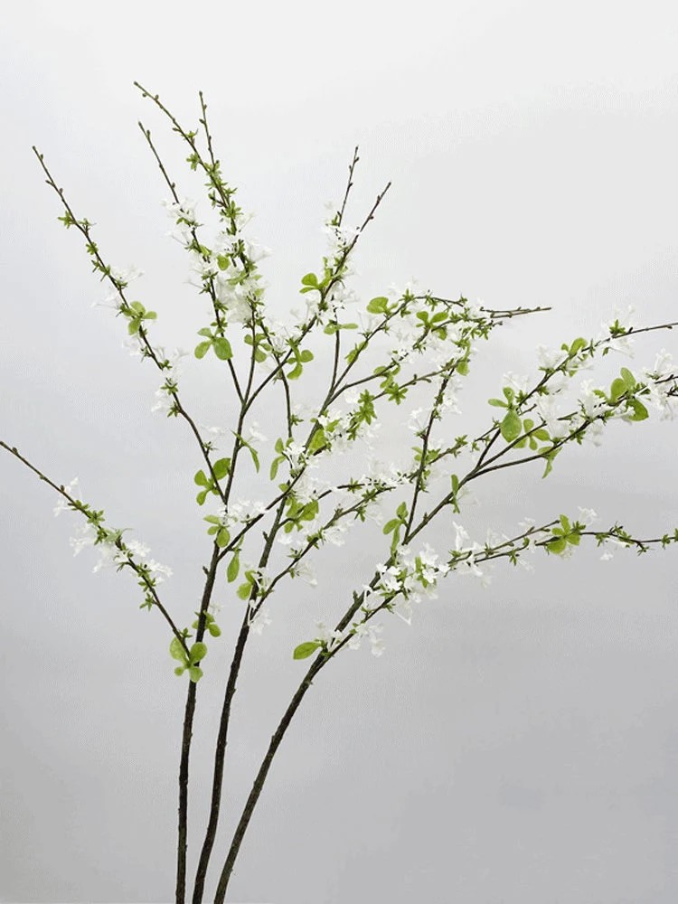 Spirea Gerfshein 60cm