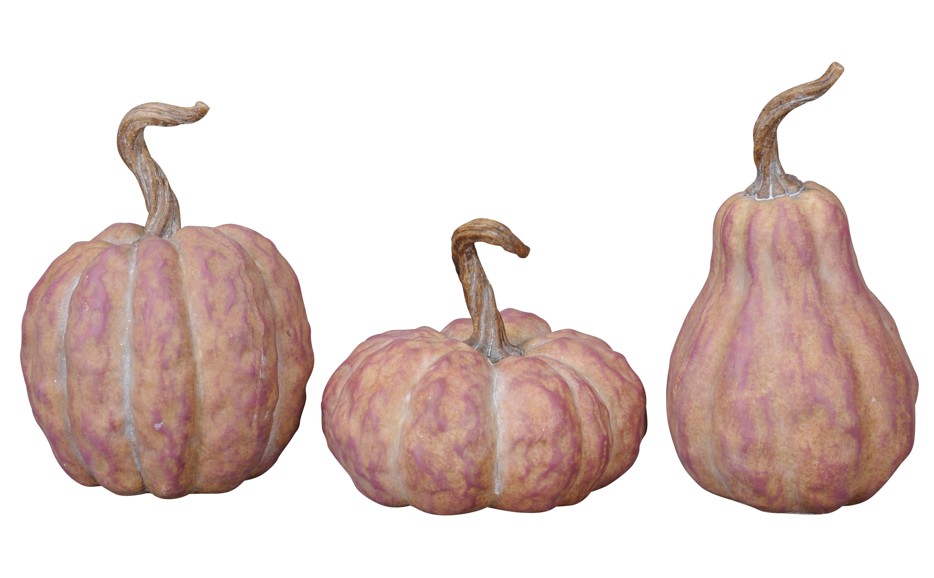 Calabaza Rony Purpura "T3"