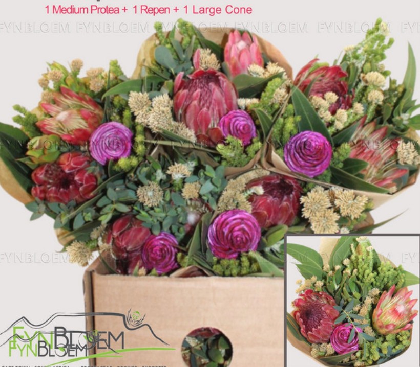 Safari Buquet 40cm 500gr 2-Protea