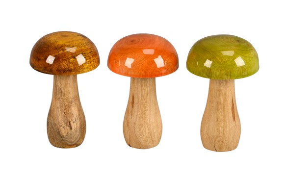 Seta Boletus �8x13Hcm "T9"