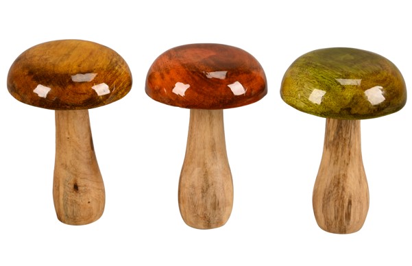 Seta Boletus �10x15Hcm "T6"