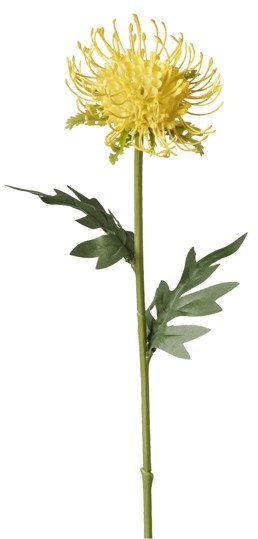 Protea Nutans Artificial Amarillo 58cm