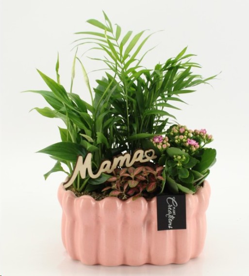 P. Composici�n Mothers Day 23/40cm x4