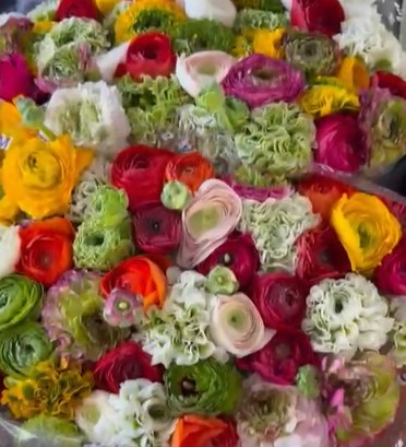 Ranunculos Italia Cloni y Pon Pon Mixto 45cm