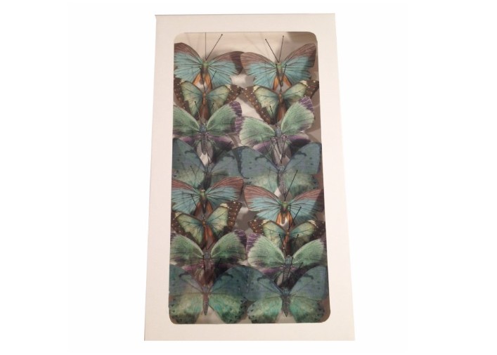 Mariposas Ibon Azul 6cm "T16"