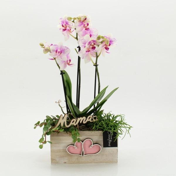 P. Composici�n Mothers Day 20/45cm x5