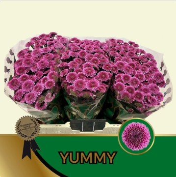 Santini Yummy 1200gr "T25" Fuc.