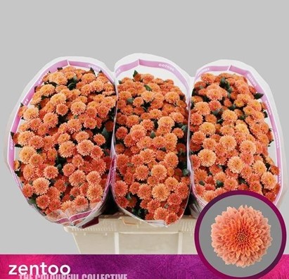 Santini Miller Smokey 1200gr "T25"