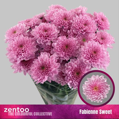 Margarita Hol. Fabienne Sweet 85gr Rs.