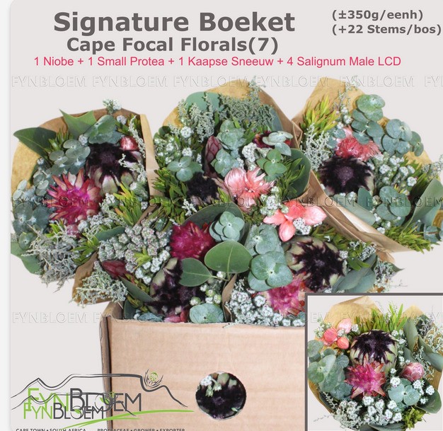 Safari Buquet 40cm 350gr Protea